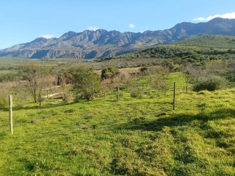 3 Bedroom Property for Sale in Oudtshoorn Rural Western Cape